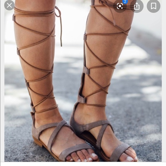 Seychelles Shoes - Seychelles Gladiator sandals